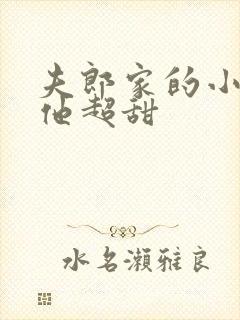 夫郎家的小相公他超甜