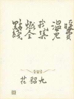 点燃我温暖你在线全集免费观看