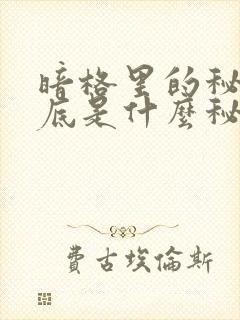 暗格里的秘密到底是什么秘密