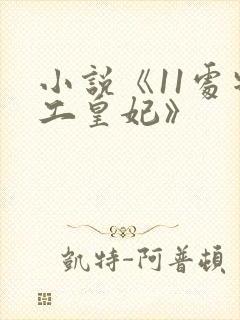 小说《11处特工皇妃》