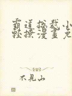 霸道总裁小叔请轻撩漫画免费下拉式六漫画