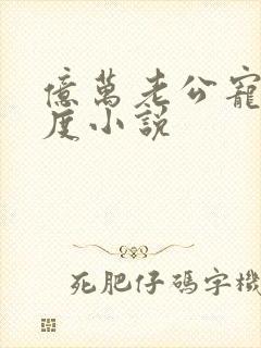 亿万老公宠妻无度小说