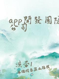 app开发团队公司