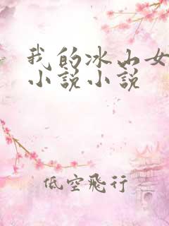 我的冰山女总裁小说小说