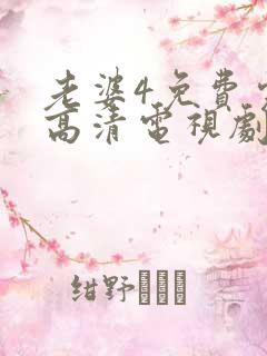 老婆4免费完整高清电视剧在线观看