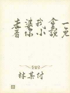 老婆我会一直缠着你小说免费阅读全文