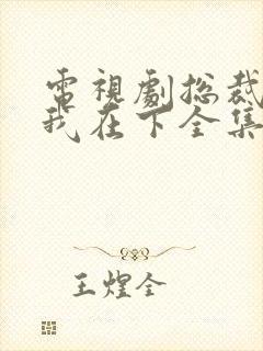 电视剧总裁在上我在下全集免费观看