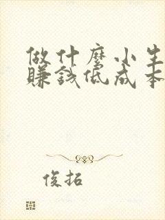 做什么小生意最赚钱低成本又赚钱的生意