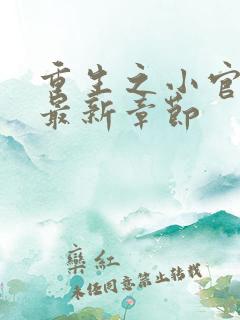 重生之小官千金最新章节