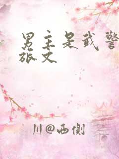 男主是武警的军旅文