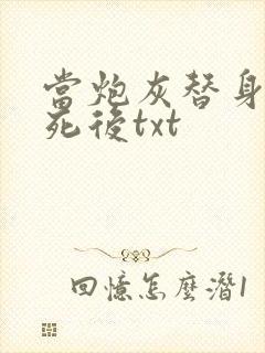 当炮灰替身的我死后txt