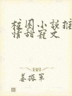 校园小说推荐言情甜宠文