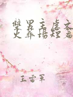 双男主虐文追妻火葬场短篇