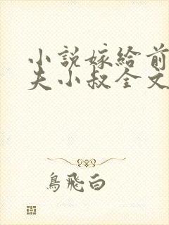 小说嫁给前未婚夫小叔全文阅读