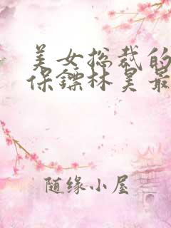 美女总裁的贴身保镖林昊最新章节