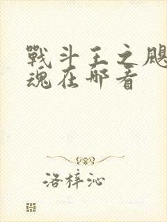 战斗王之飓风战魂在哪看