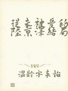 从未被爱的沈念陆京泽结局