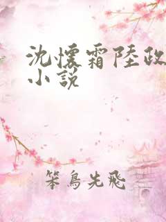 沈怀霜陆政霆的小说