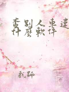 查别人车违章用什么软件