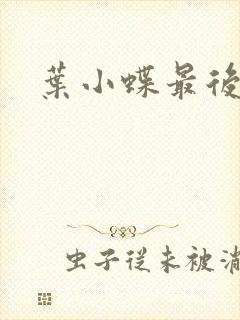 叶小蝶最后结局