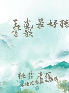 王岚最好听的十首歌