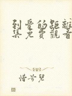 到爱的距离40集免费观看