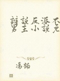 谁说反派不能当男主小说免费