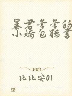 暴君爹爹的团宠小娇包听书