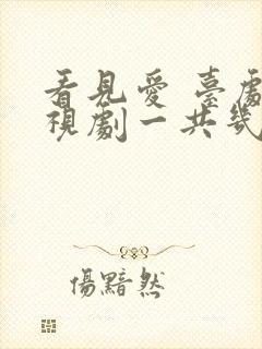 看见爱 台剧电视剧一共几集啊