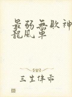 最弱无败神装机龙风车