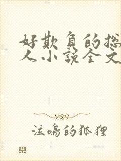 好欺负的总裁大人小说全文阅读