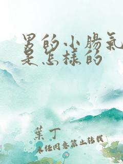 男的小肠气手术是怎样的