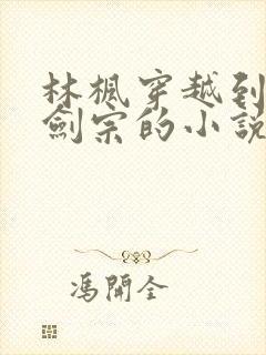 林枫穿越到神霄剑宗的小说后续