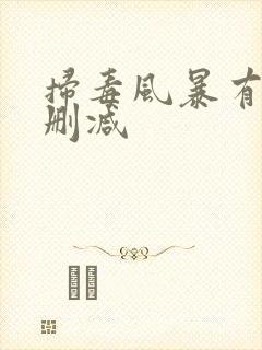 扫毒风暴有没有删减