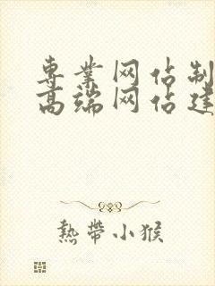 专业网站制作,高端网站建设公司