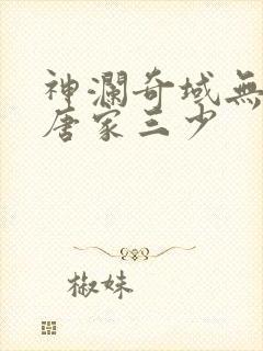 神澜奇域无双珠唐家三少