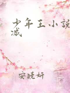 少年王小说无删减