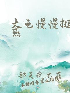 大龟慢慢挺进张燕