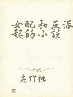 女配和反派在一起的小说
