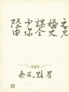 陆少谋婚之婚不由你全文免费