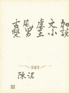 古风虐文加虐身双男主小说