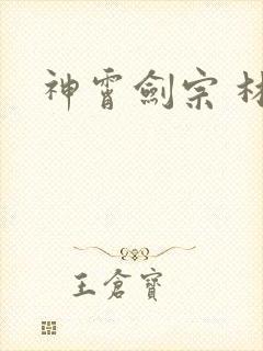 神霄剑宗 林枫