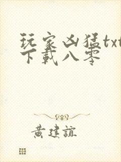 玩家凶猛txt下载八零