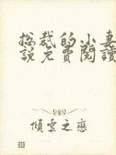 总裁的小妻子小说免费阅读