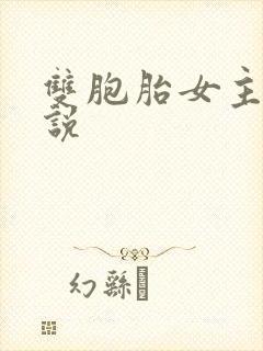 双胞胎女主的小说