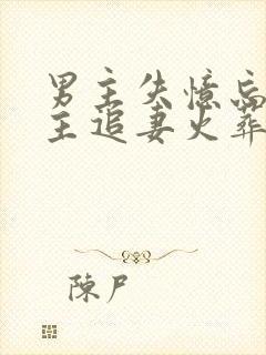 男主失忆忘了女主追妻火葬场