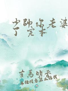 少帅你老婆又跑了 完本