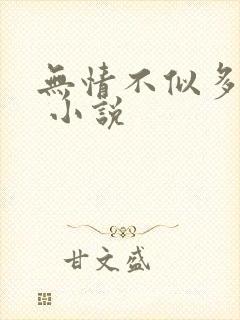 无情不似多情苦 小说