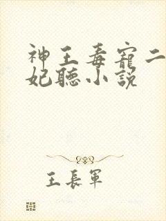 神王毒宠二嫁王妃听小说
