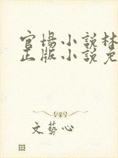 官场小说林飞扬正版小说免费阅读